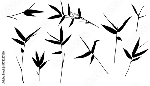 Set of black bamboo leaf silhouettes and branches isolated on background. Minimalist oriental design elements for nature-themed projects, Zen style, and creative overlays.
