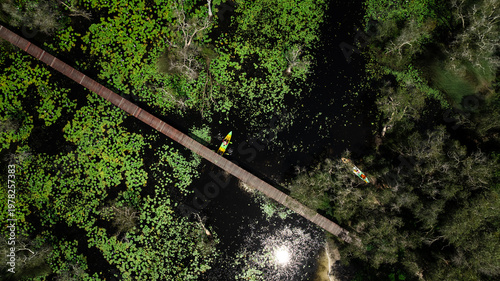 Fotografia Two People Paddle Colorful Kayaks Along A Wooden Boardwalk Through A Serene Wetl