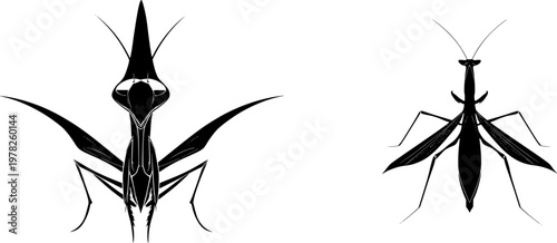 A symmetrical conehead mantis with an elongated, sharp head stands against a pure white background in minimalist flat vector art, showcasing flawless sharp edges and high contrast graphic design