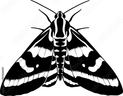 This symmetrical tiger moth pattern features bold solid black shapes against a pristine white background, rendered in minimalist flat vector art with flawless sharp edges and high contrast monochrome