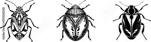 A symmetrical jewel bug adorned with intricate geometric patterns stands out against a pristine white background in this minimalist flat vector art piece