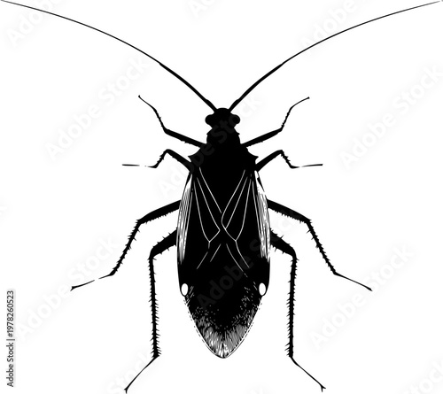 This symmetrical aphid illustration showcases a bold solid black profile with perfect crisp contours against a pure white background, rendered in minimalist flat vector art with flawless sharp edges