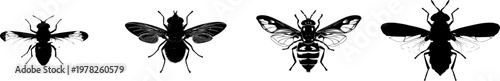 A symmetrical bee fly hovering profile in bold solid black shape with perfect crisp contours on a pure white background, minimalist flat vector art showcasing flawless sharp edges for auto tracing