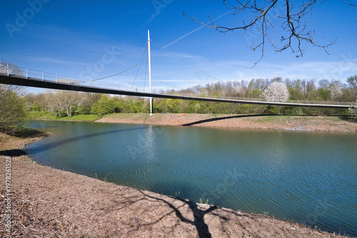 bridge over river in the forest