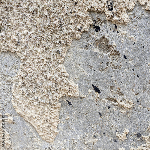Beige Rough Plaster Wall Texture with Distressed Concrete Surface Background