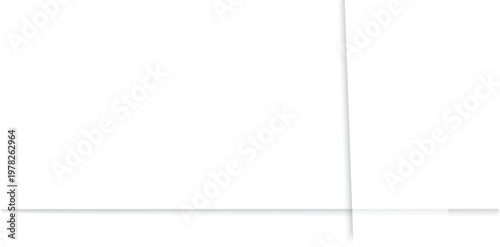 Clean minimalist interior with a single vertical panel door