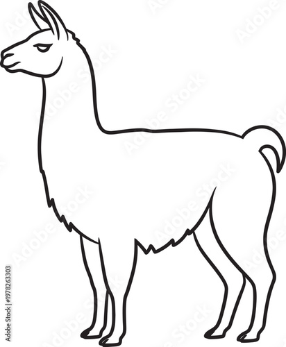 Line drawing of a llama a simple and elegant animal illustration