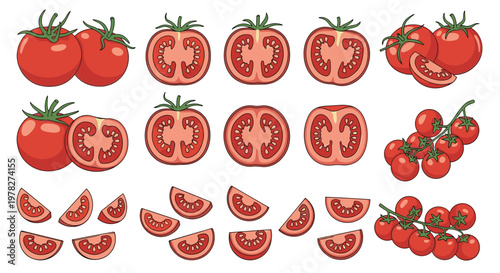 Comprehensive set of various tomato types including whole, halved, sliced, and fresh cherry tomatoes on a green vine.