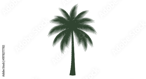 Detailed dark green silhouette of a single palm tree isolated on a plain white background for tropical summer and beach themes.