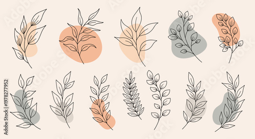 Collection of hand drawn botanical leaf and branch illustrations paired with organic abstract pastel shapes on a neutral background.
