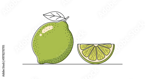 Hand drawn illustration of fresh whole lime with leaf and juicy lime wedge for citrus fruit and refreshing drink concepts.