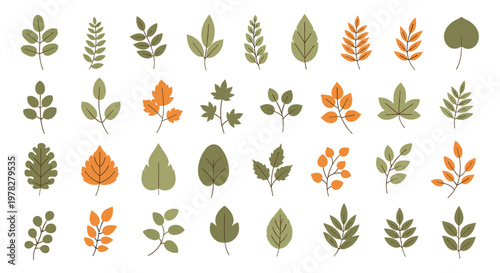 Extensive collection of various autumn leaves in different shapes and colors like green and yellow and orange with delicate dashed outlines.