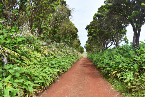 A dirt path leads through lush nature to the Rosais Lighthouse on Sao Jorge Island in the Azores, Portugal
