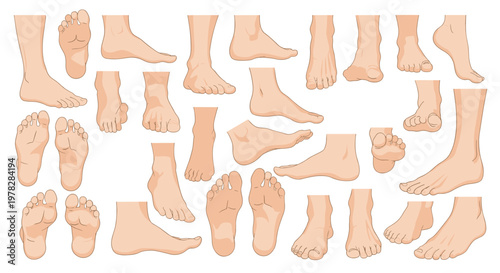 Set of detailed human feet illustrations shown from various angles and in different positions for anatomical reference.