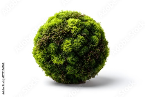 Moss covered green earth ball isolated.