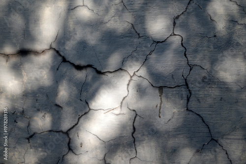 Foto Leaves shadow on cracked cement wall