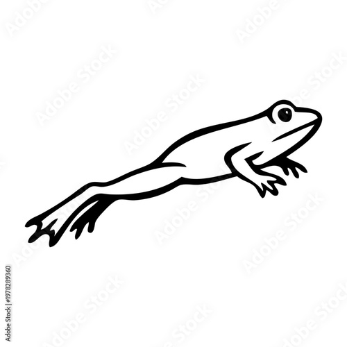 Dibujo sencillo con líneas de una rana o sapo saltando 