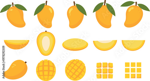Mango fruit collection with whole, sliced and diced pieces, fresh tropical food vector illustration set isolated background