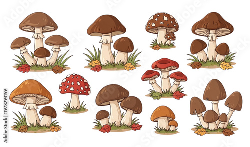 Hand-drawn cartoon mushrooms vector set with forest grass and leaves