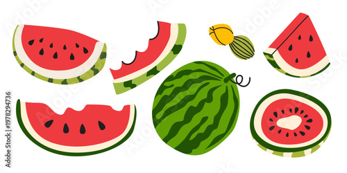 Watermelon elements set in cartoon flat style. Whole fruit, halves and slices. Hand drawn juicy summer organic fruit isolated. Vector illustration