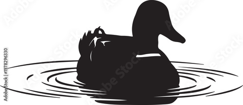 Duck silhouette on water with black and white, wildlife