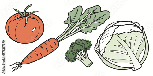 Illustration of healthy vegetables featuring tomato carrot broccoli cabbage isolated on a clean white background vegetables broccoli nutrition ingredients vegetarian illustration
