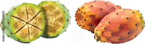Prickly pear cactus fruit vector set featuring whole and sliced opuntia fruits isolated exotic tropical food illustration collection