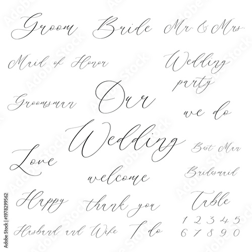 Handwritten Wedding words vector set, Vector wedding script, Our wedding vector words, Wedding Quotes, Vector Wedding Designs, Wedding sign set
