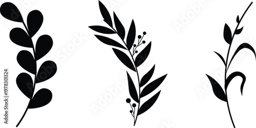 Three distinct types of plant leaves against a white background