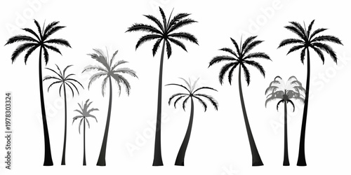A collection of stylized palm trees against a plain white background