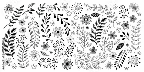 Hand drawn floral collection featuring various botanical elements in black ink
