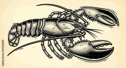 Vintage engraving style illustration of a lobster a textured beige background handdrawn crustacean with detailed stippling and hatching, perfect for seafood menus or nautical designs