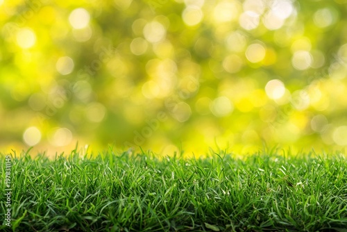 Beautiful Springtime Dreamy Mood Nature Backdrop of Green Meadow with Soft Bokeh Background Dots