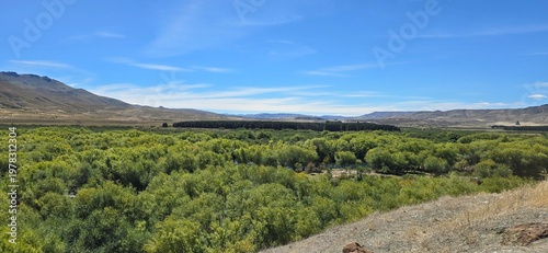 Wide green valley near Lanín Volcano with trees and mountains in Patagonia.