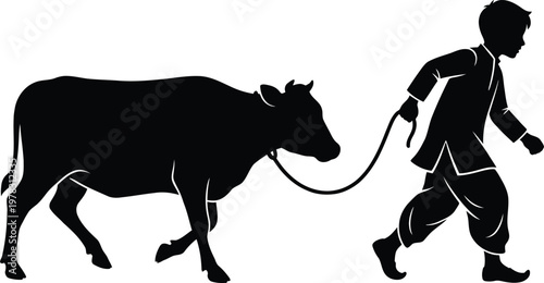 Man leading cow on leash silhouette, person walking with animal, farming concept, rural lifestyle, traditional attire.