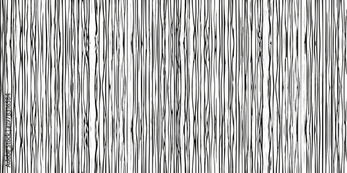 Abstract black and white linear pattern resembling tall grass or reeds