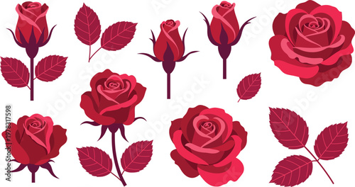 Collection of red roses and rose leaves on white background