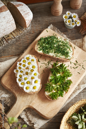 Slices of bread with spring wild edible plants - ground elder, common daisy and crow garlic