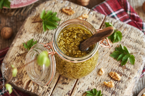 Green pesto made with wild goutweed or ground elder plant