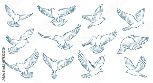Collection of graceful flying doves in various poses shown in a blue line art style on a white background for peace themes.