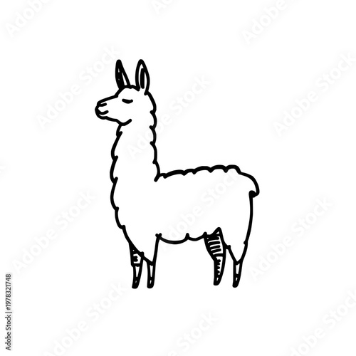 Llama icon logo design. Alpaca sign and symbol. Llama icon. Cute animal character for stickers, prints, and nursery decor.