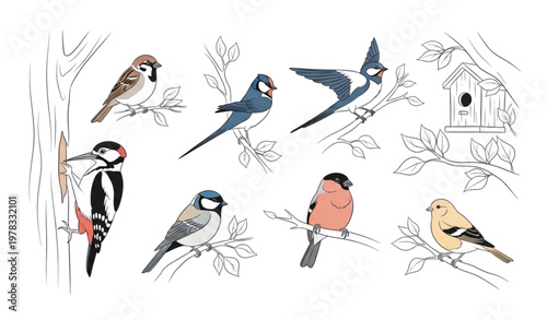 Minimalist flat vector birds set hand-drawn perched sparrow, canary, and more