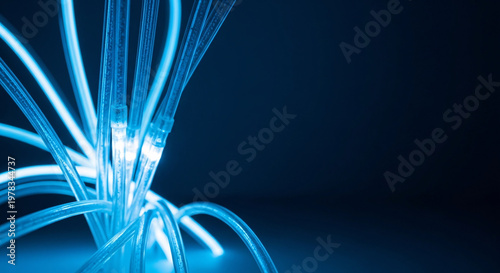 Close-up shot of glowing blue fiber optic cables with a shallow depth of field on a dark background conveying a technological and futuristic mood.