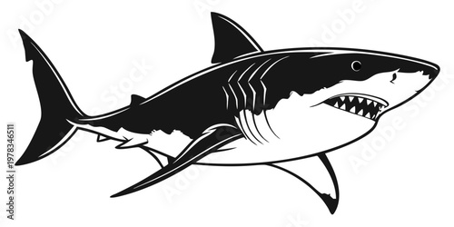 Great White Shark Silhouette Vector - Isolated Marine Predator Illustration