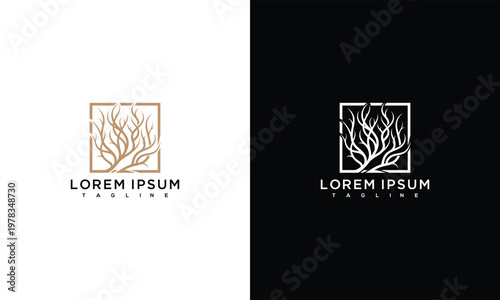 Elegant Tree Branch Logo in Square Frame - Gold and White/Black Variants