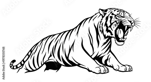 Roaring Tiger Illustration - Black and White Outline