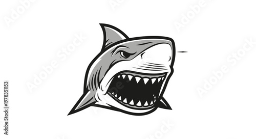 Fierce Shark Head Illustration with Open Mouth and Sharp Teeth, Aggressive Marine Predator