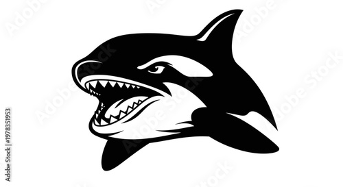 Orca Killer Whale Head Silhouette, Aggressive Marine Predator