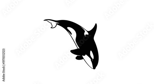 Orca Killer Whale Jumping Silhouette Black and White