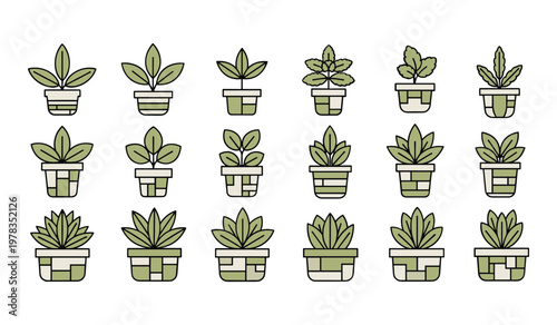 Collection of green potted plants with different leaf shapes and sizes illustrated in a minimalist style